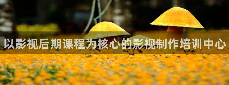 午夜宫光棍影院手机版