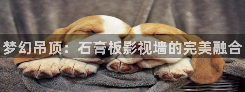 光棍影院手机在线免费看